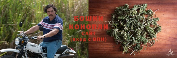 ПСИЛОЦИБИНОВЫЕ ГРИБЫ Белокуриха